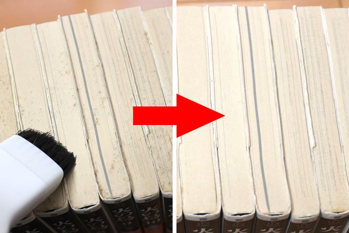 �Â��{�́A�����Ɩ{�I�ɓ���Ă����� �㑤�Ƀz�R�������܂�₷����ł���ˁB��������L���C�ɂȂ�܂���