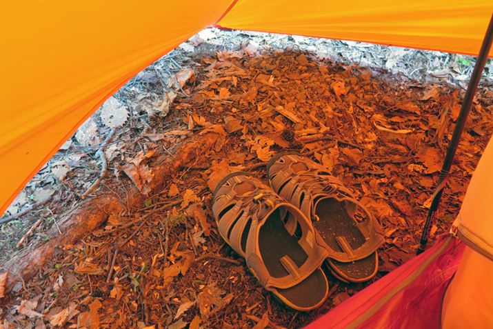 O͑傫ĉs\BtCV[g߂΁AJ~Ău[cT_G鋰͏Ȃ