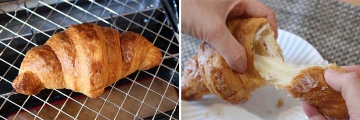 NiNbTłĂԂ̂ł傤j͔S肪Lт悤Ȃ炩