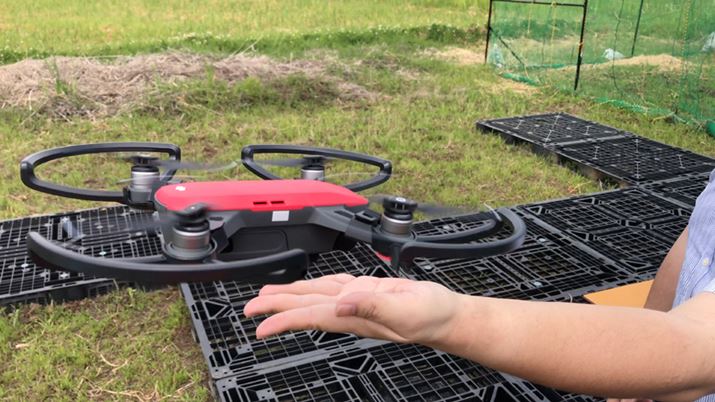 ̂Ђ炩ȒPɗłA̓őł