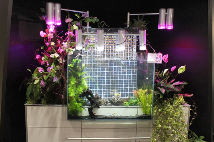 �z�e���Ȃǂ̃G���g�����X�ɂ҂�����Ȏ{�݌����̑�^���f�����񋟊J�n���ꂽ�΂���