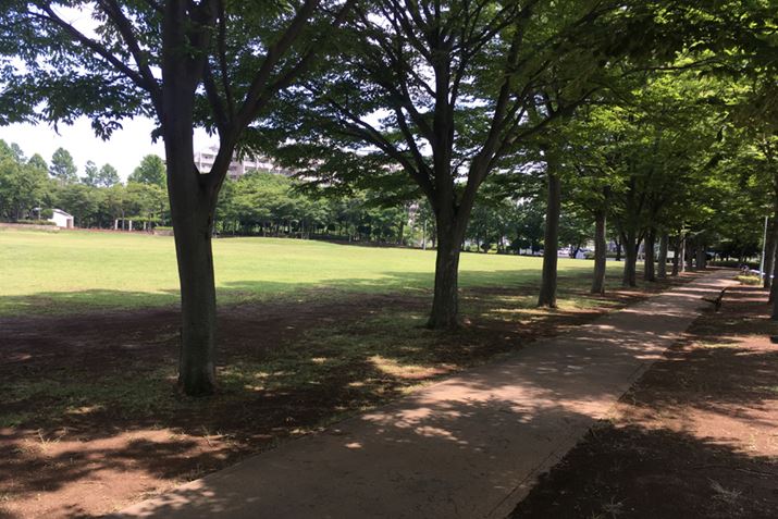 R[X̂́AC؉A𑖂邱Ƃł