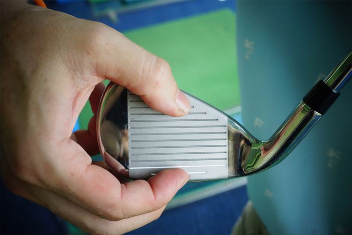 ق̃ACAɔ׃tF[X㕔̃~Xւ̋ۗ܂