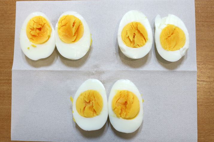 łŁi3jł12łł܂BpTƂȂAggƂ肵Ă܂