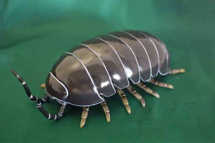 ꂪ̃_SVȂ̂ł܂I }WŁI