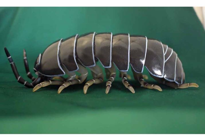 TCY͑S150mmB̖20{ȏ̑傫ɂȂĂ܂