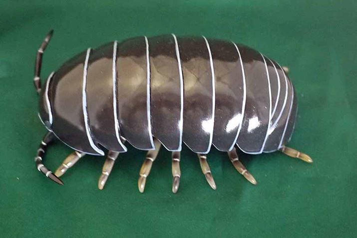 ̃cc܂AI \trłA͂dł