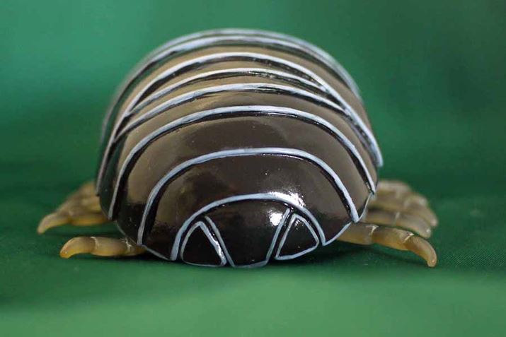 KłB[_SV̂KȂĂ܂܂݂ƂȂˁ[