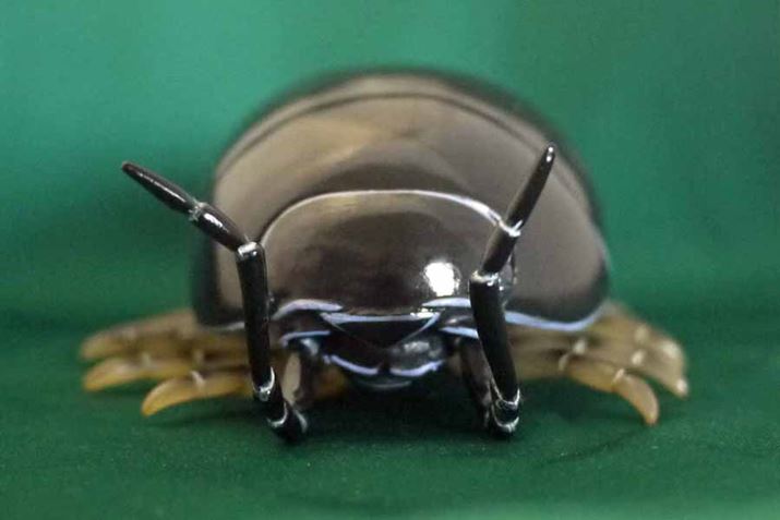 ł܂Bڂ͂Ȃ菬߂Ȃłˁ[