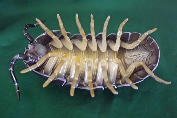 _SVԂłB[A͂ȂȂ̂ɗEC܂[