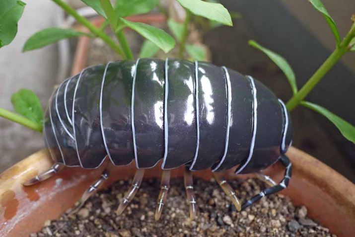 ɒuĂ̂xXgłˁBVтɂMƂ邱Ƃł傤