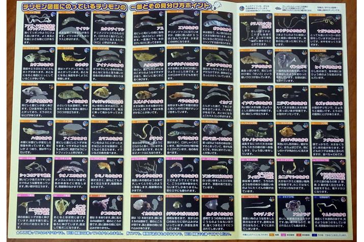 ptbgJƃ`}ӂɂȂĂ܂BAu`v͂őSł͂܂