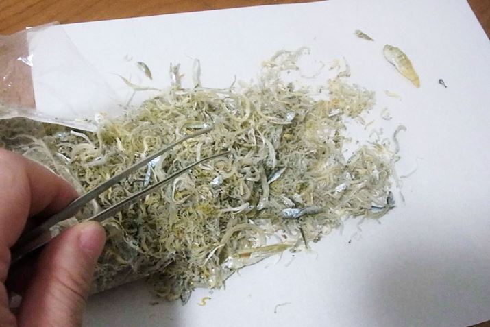 ܂́AM⎆̏ɁA܂ɓu`vL܂