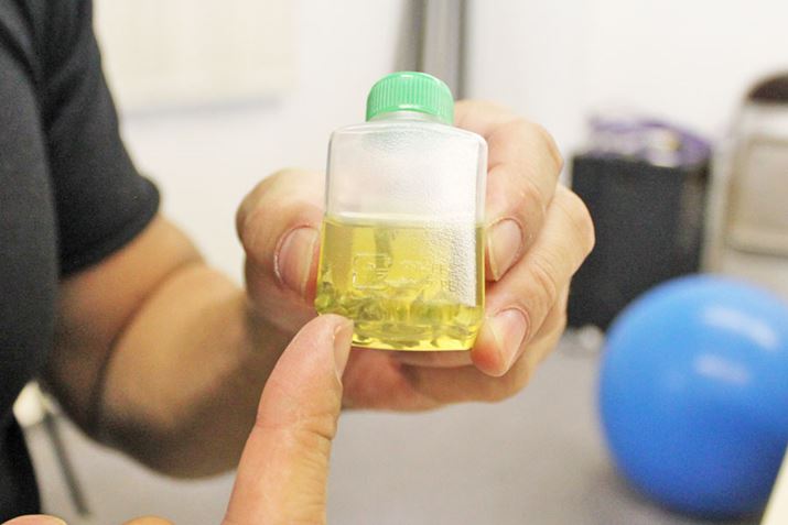 I[u\[Xɂ킳тЂ܂ĂBꂾł肵ɂȂ肻