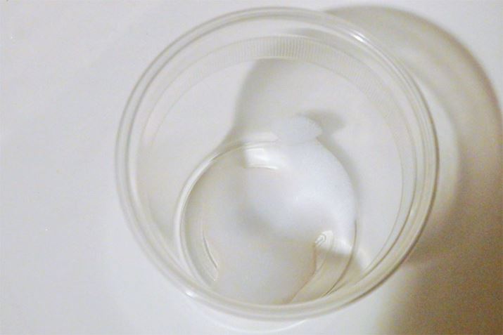 |vvbVƁAAɂȂMp̃Vv[oĂ܂