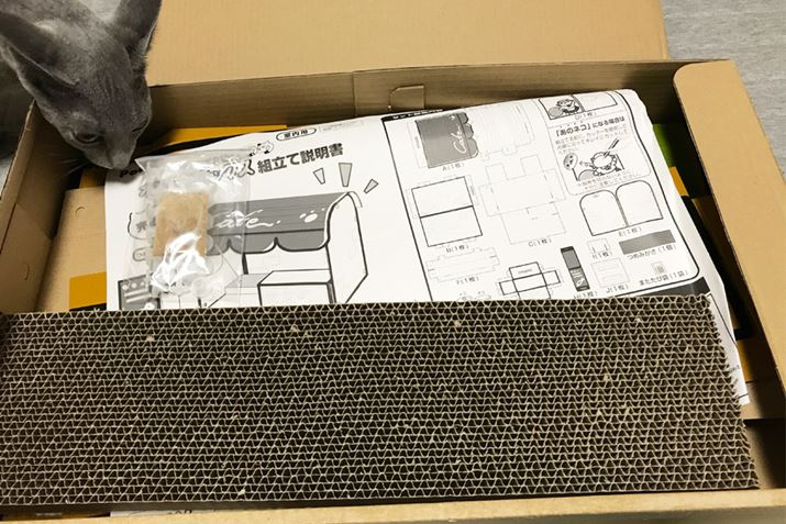 lR̒H 񂭂Ƃ낢mkĂ܂I