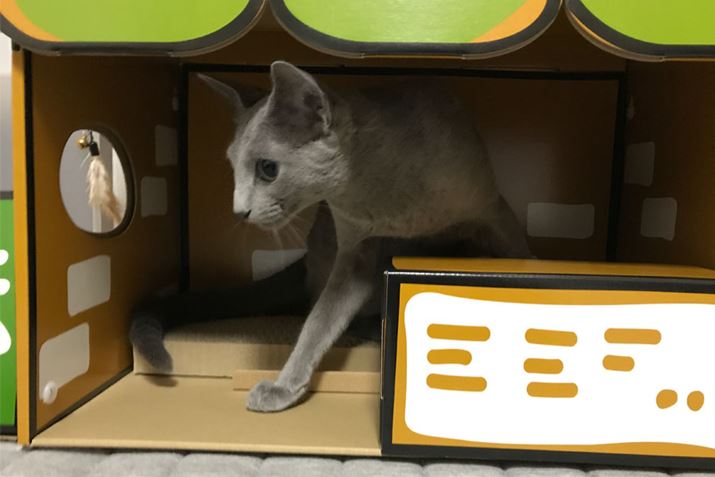 悩A}^^r̂ŎBe͊yłI