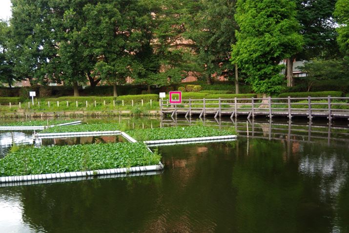 ͒r̎ɍ򂪂邾̂悤Ɍ܂A̐Ԃg70{ŎBeĂ݂Ɓc