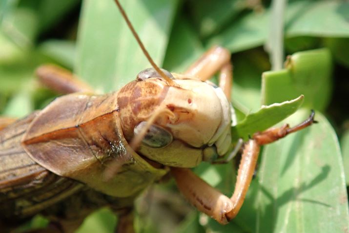 Ƀsgʐ^B܂uOLYMPUS Tough TG-5vŎBeۂ̉摜i4000×2672A2.26MBj