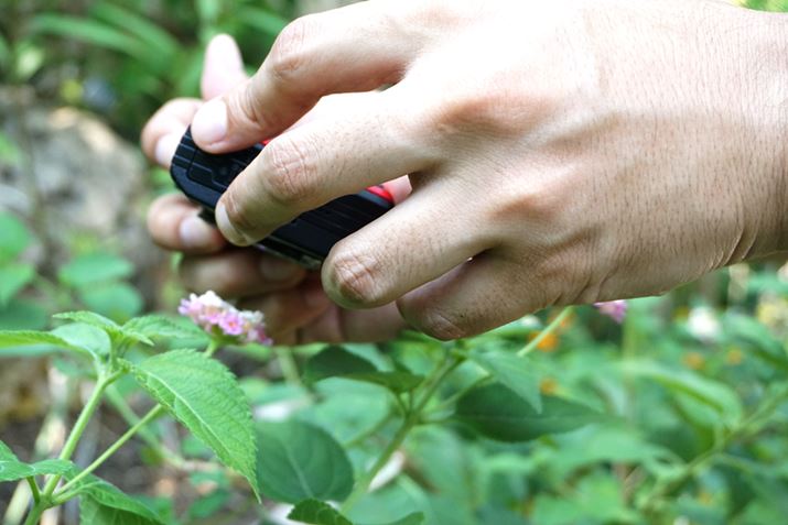 猩ƂȊBʑ̂琔cm̋܂ŋ߂ÂĂBeł܂B