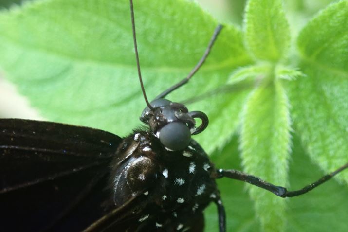 {ȓɐc}TL}_i`Eڃ^en`Eȁj̓