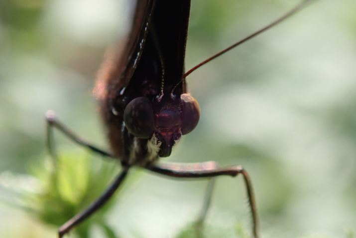 `EƂĉꌧł悭郊ELETLi`Eڃ^en`Eȁj̓