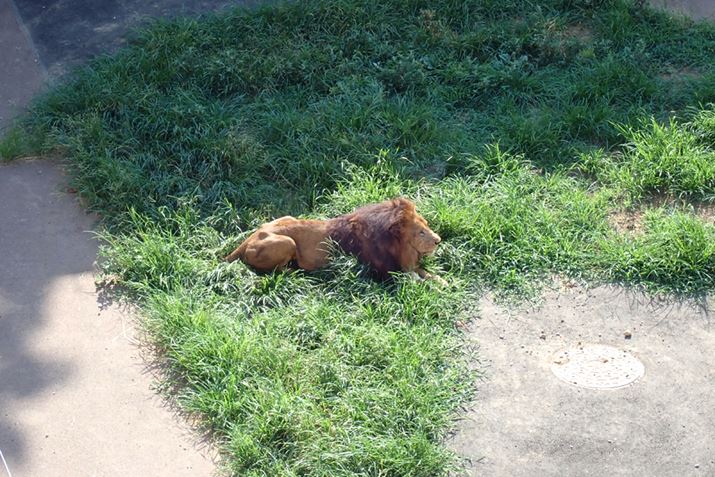 q}ɂĂCIB30`40ꂽꏊɂ߁AWỸY[ƂꂪE