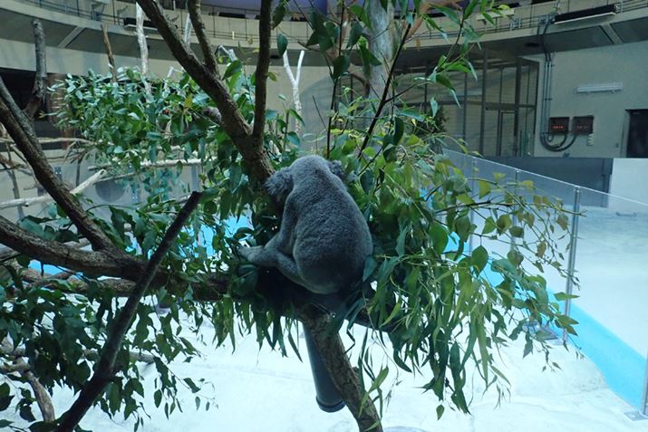 KXzɎBeRA̔wBȂ񂩃V[