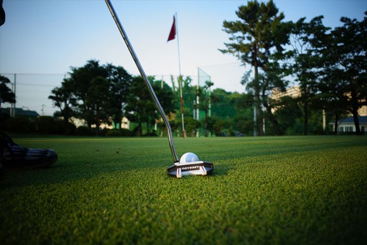 tF[XoX̃p^[͐UĂŒAtF[XʂςɂƂ܂