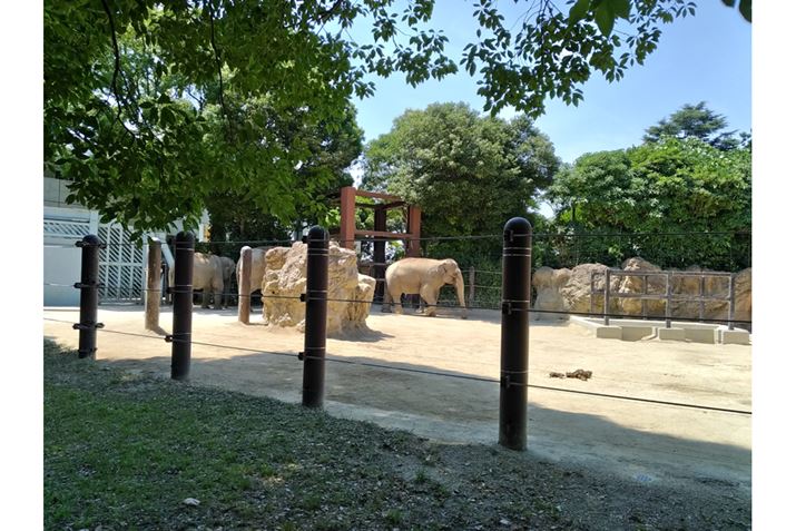 򂩂痣ꂽƂɓāu悭ȂvƂȂ͓̂邠