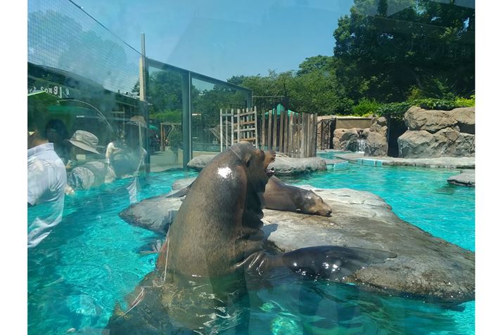 AVJI[gtH[JXő_uԂ𓦂Beł܂