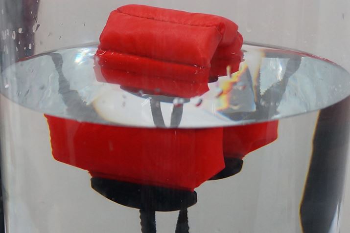 CŎg@̂ł΁AIvṼt[gtق悳