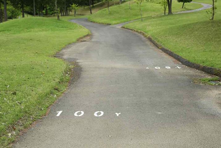 J[gHɃO[܂ł̋ĂR[X܂