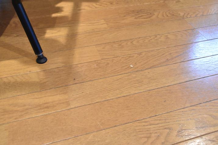 �����̒����B���̖т�|�e�g�`�b�v�X�̂����炪�����Ă���