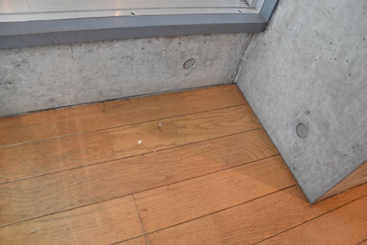 ����������̖тƎ�����������ق�