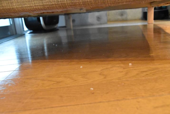 2�l�����\�t�@�̉��B���ї��炵���S�~�ƖȂڂ��肪�������񌩂���