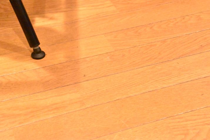 ���̃G���A�ɂ́A�悭����Ɣ��̖т�1�`2�{�c���Ă������A�ڂɂ��S�~�͌�������Ȃ�����