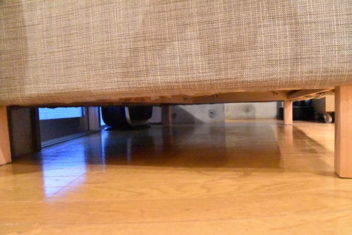 �\�t�@�̉����A�S�~��Ȃڂ������������|�����Ă��ꂽ�悤��