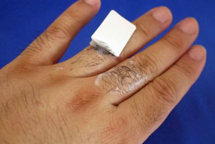 wȂǂŁAN[@Ă܂BȂƖт||ƎĂ܂