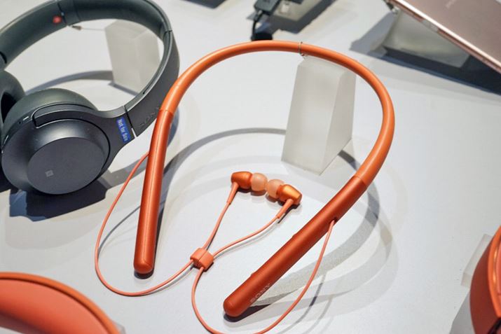 �l�b�N�o���h�C���z����h.ear in 2 Wireless