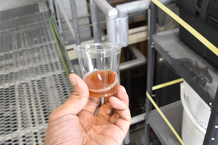 Ŕ`̎B蒆̂łՂ񎿂ɕςĂ邽߁AƂĂÂ