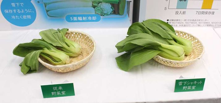 ]̖؎ŕۑ́ijƔrƁA`Q؂ȂɑNxႢ܂