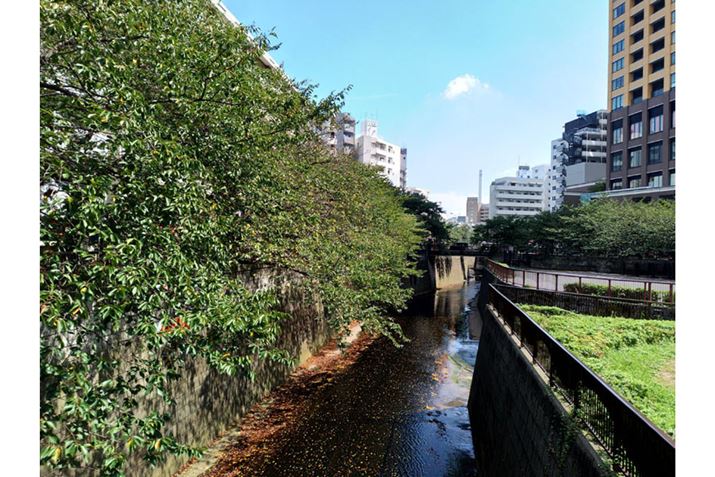 CJ̃I[g[hŎBeBHDRĂāARgXgƂF̎ʐ^