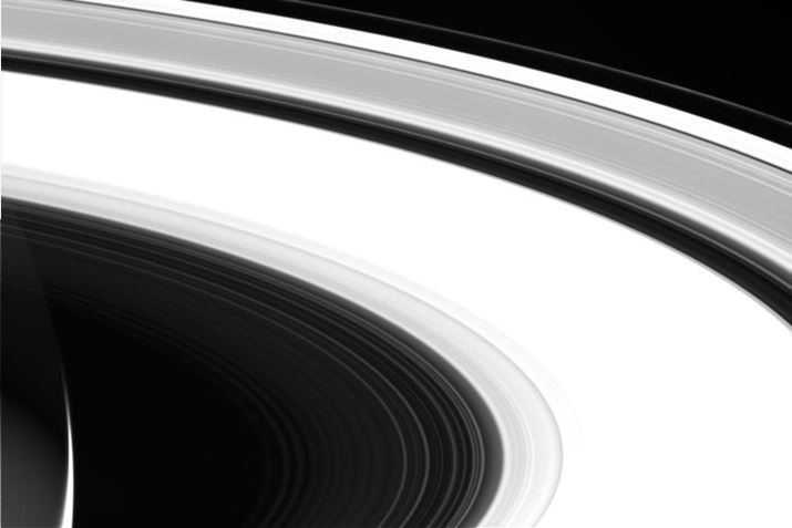 �J�b�V�[�j�ɂ��B�e���ꂽ�y���̊�