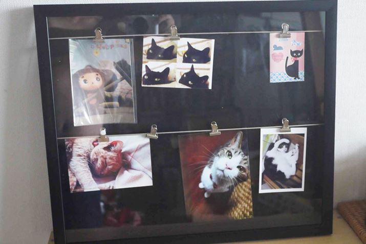 ̎ʐ^Ă݂܂BRɔzuł̂ł