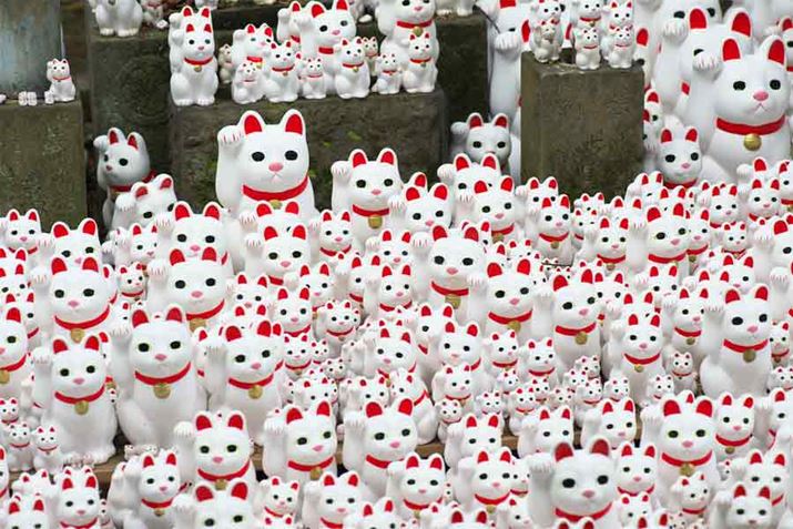 �������̔L�����B�����ɔ[�߂��Ă�����̂ł����A���̐��̂������Ɉ��|����܂�