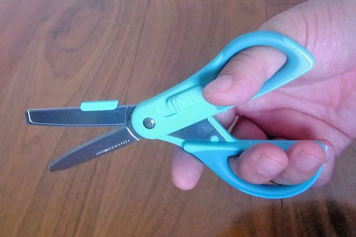 w郊O͒ʏ̃nT~Ɠ̑傫