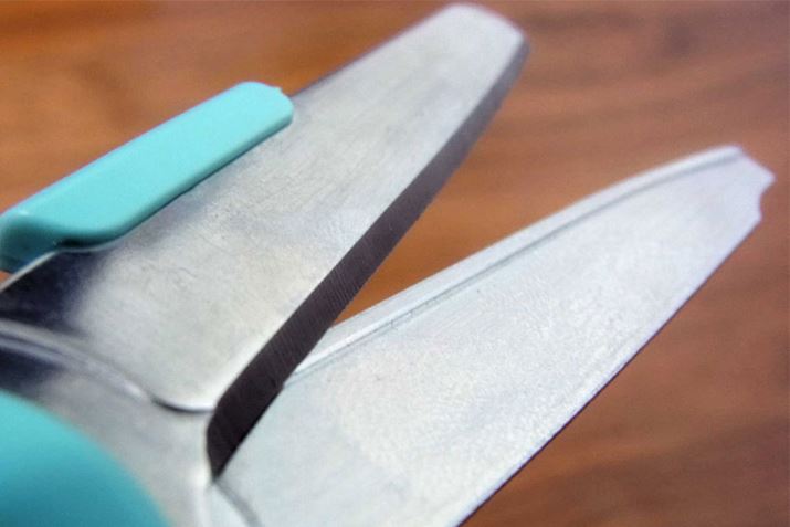 nT~̐n͒i݂Ɠ̍\ɂȂĂ܂