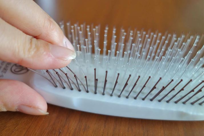 s͌\炩BuẼŝق\tgł