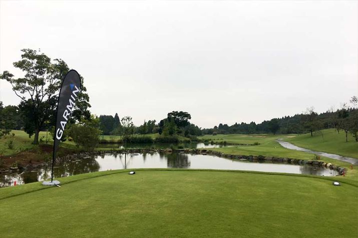 to[fBNu4ԃz[̃eB[OEheXgJn